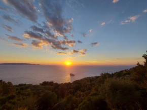 WildSunset